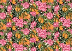 new minerva desktop 50% zoom.jpg