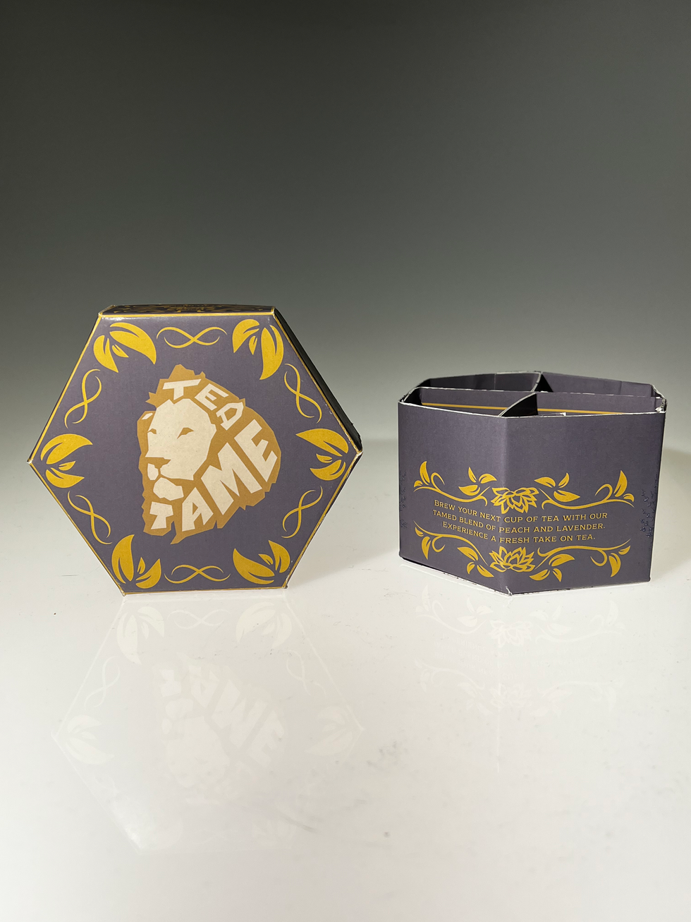 Packaging Design 2/2