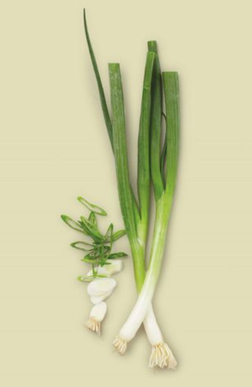 Several full scallions with some diced up