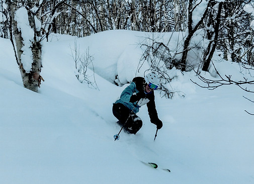 Em Japan cat ski pic.jpg