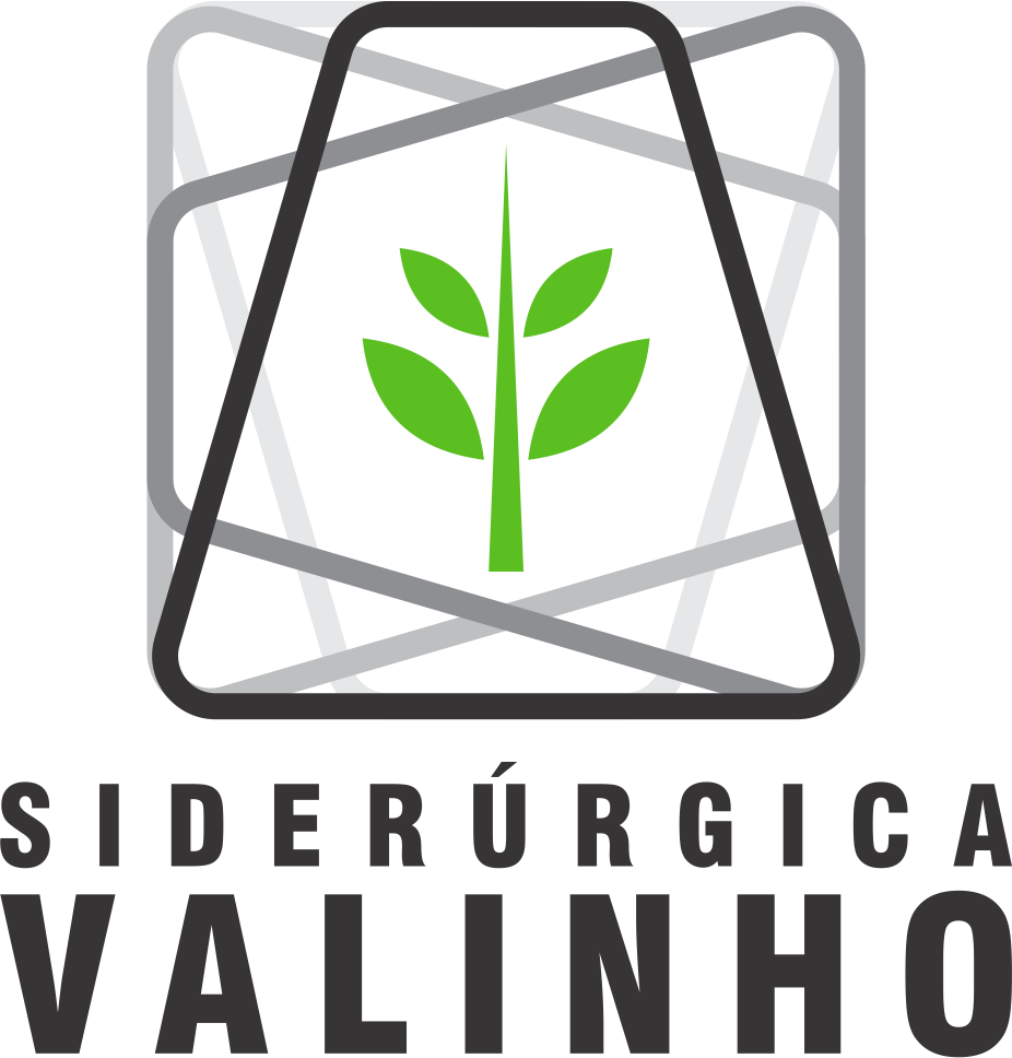 Siderúrgica Valinho: INÍCIO