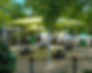 Lime Canopy