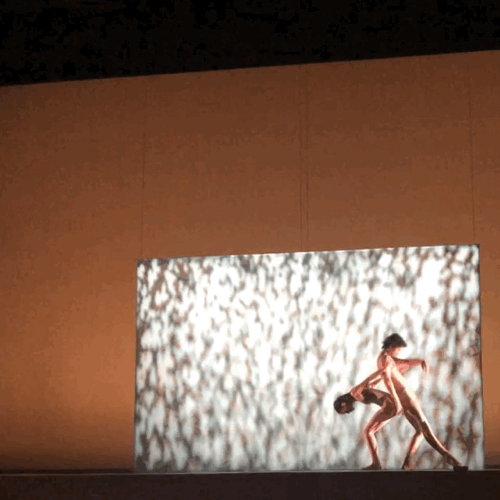IMG_6024_Lively.GIF