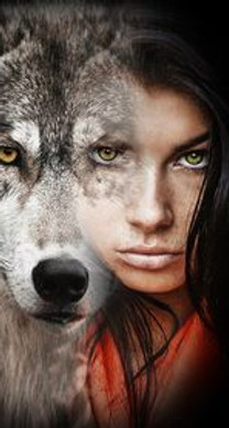 08a44c6e72e00d53f9998478f658fa65--wolf-a