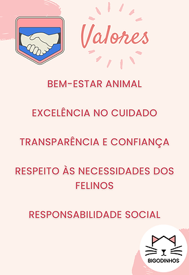 Valores.png
