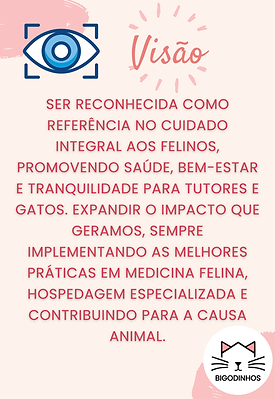 Visão.png