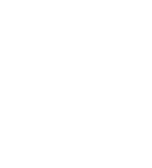learning-path.gif