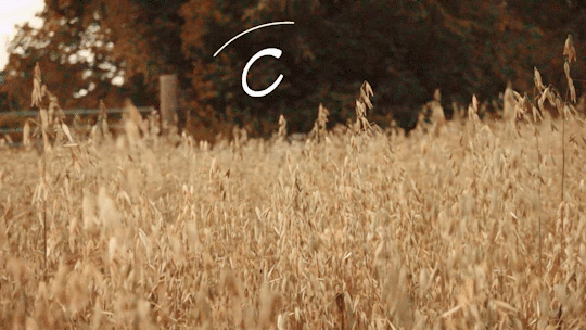 Gif 1.gif