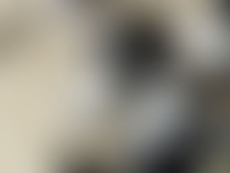 We are starting to eat mush!