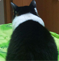 student_Didi Lam.png