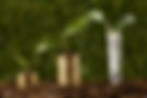 plants-with-coins-stacked-dirt-banknote.jpg