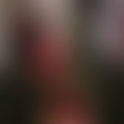 Weihnachtsfeier 🎄