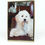 Thumbnail: AL - Fotolijst - Goud -Bol
