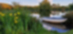 20210604_204913.jpg