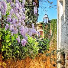 Provence Fiber Tour Info Session with Madeleine