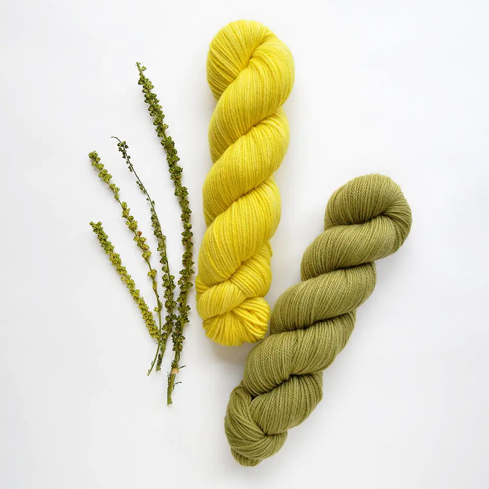Thumbnail: Natural Dye Kit - Wool and Palette