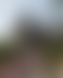 A dominação rápida – e silenciosa – da transmídia