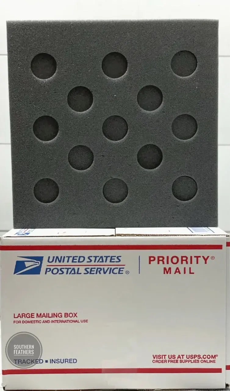 Thumbnail: American Bresse Htching Eggs - One Dozen