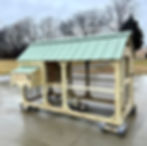 Chicken coop with green roof