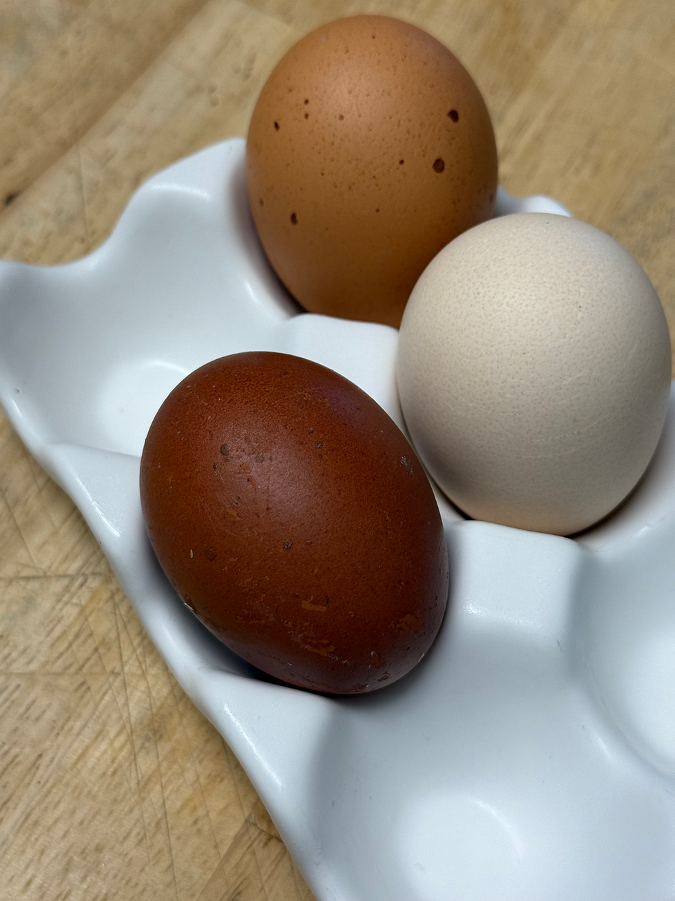 Thumbnail: Dark Brown Maran Eggs