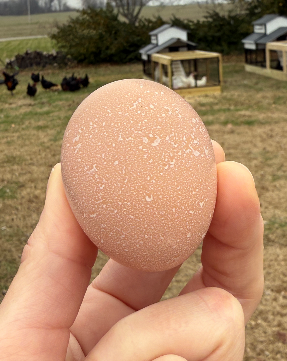 Thumbnail: Speckled Eggs