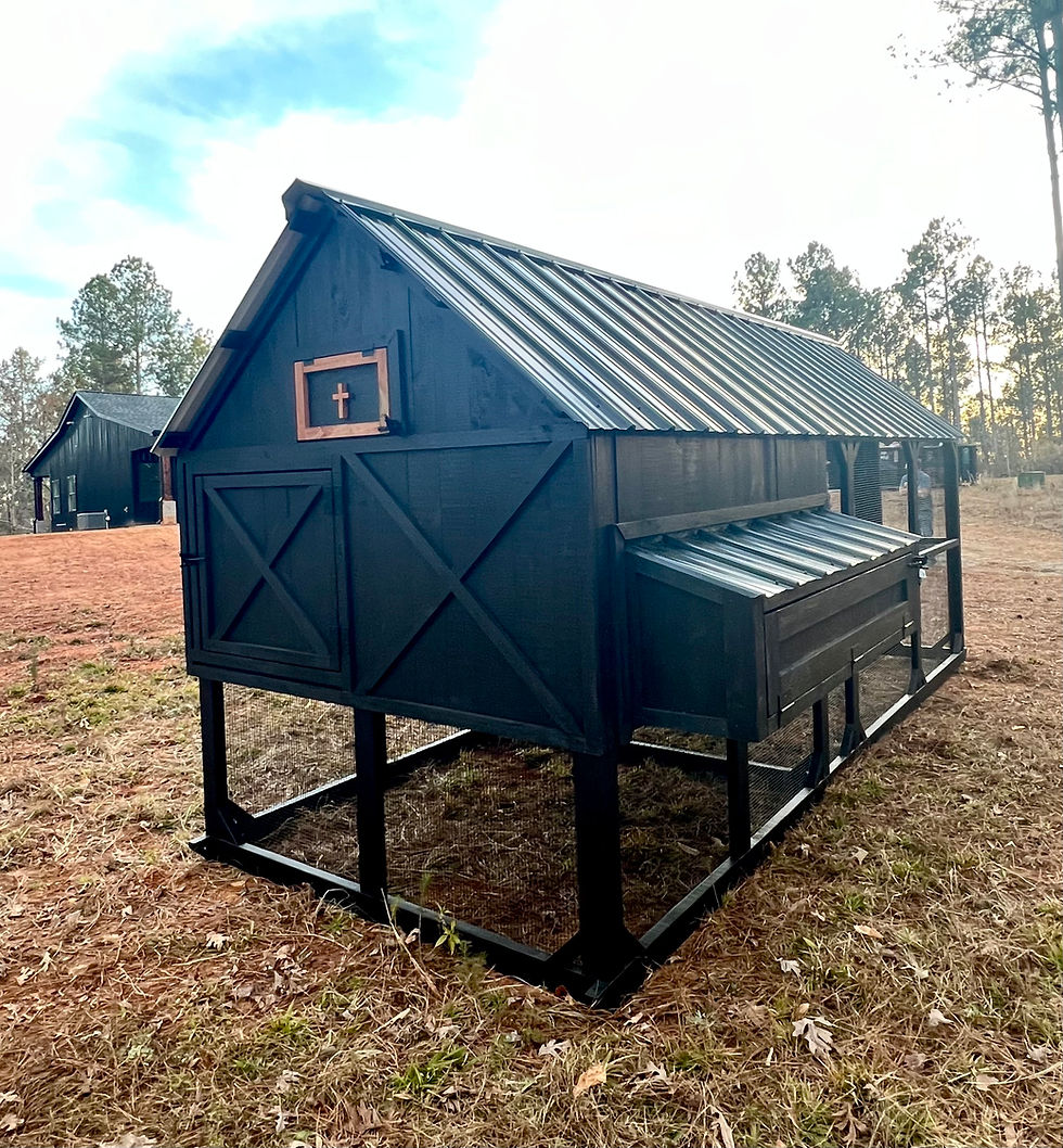 Thumbnail: Chicken church