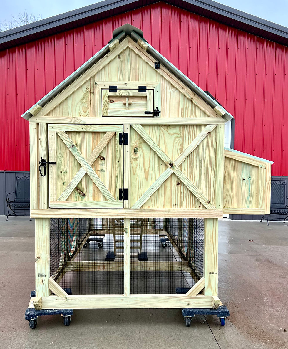 Thumbnail: Easy Access chicken coop