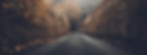Autumn Road