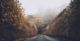 Autumn Road