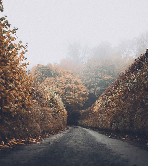 Autumn Road
