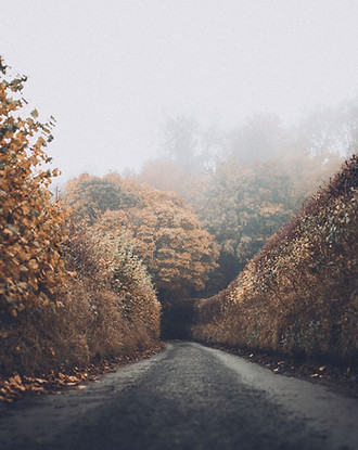 Autumn Road