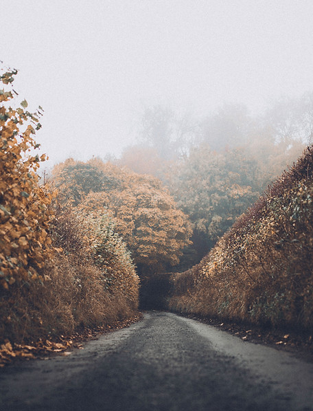 Autumn Road
