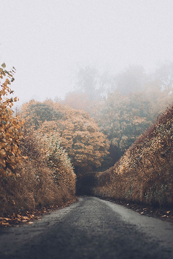 Autumn Road