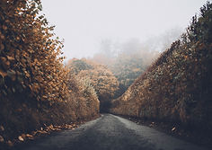 Autumn Road