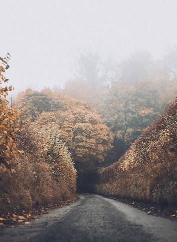 Autumn Road