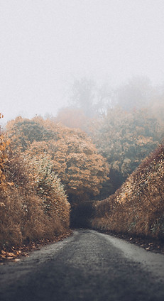 Autumn Road