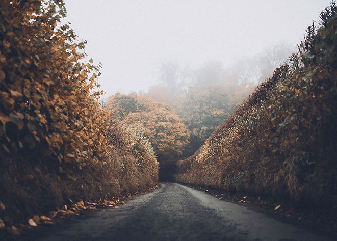 Autumn Road