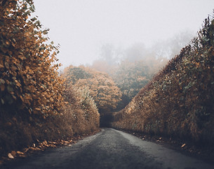 Autumn Road
