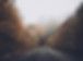 Autumn Road