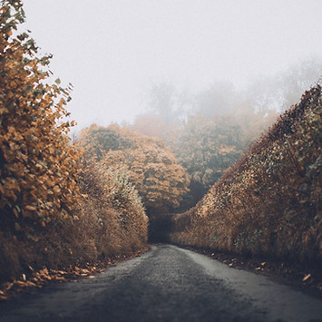 Autumn Road