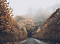 Autumn Road