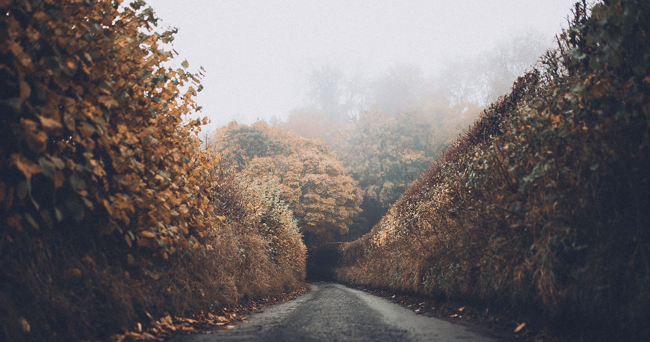 Autumn Road