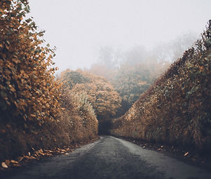 Autumn Road