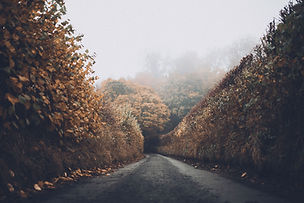 Autumn Road