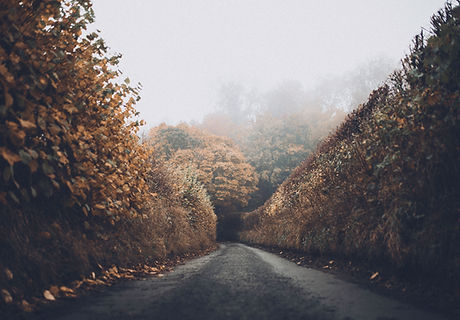 Autumn Road