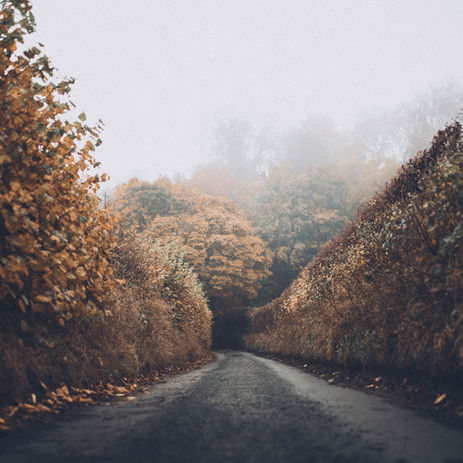 What's Next: Embracing Natural Paths to Wellness