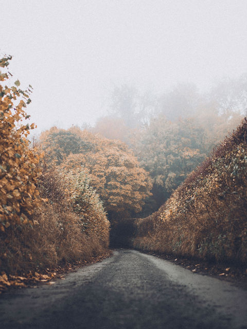 A GUIDE TO CREATING POWERFUL IMAGERY IN YOUR WRITING