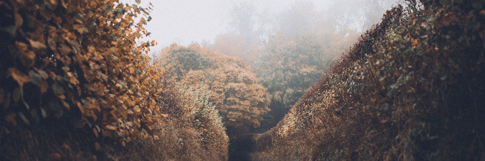 Rehab.com Short Write-Ups