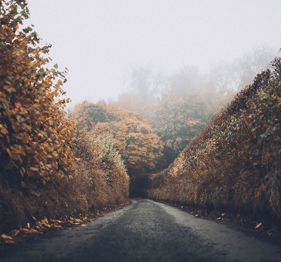 Autumn Road