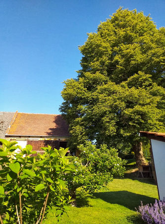 IMG-20210118-WA0004-01 (5).jpeg